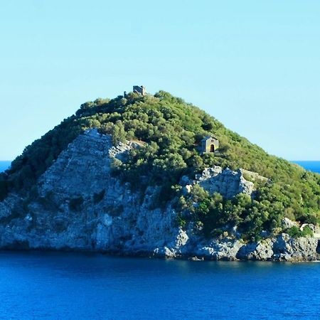 Albatros Apartment Savona Bagian luar foto
